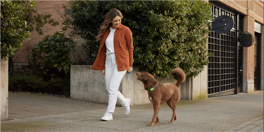 How often to walk your dog?