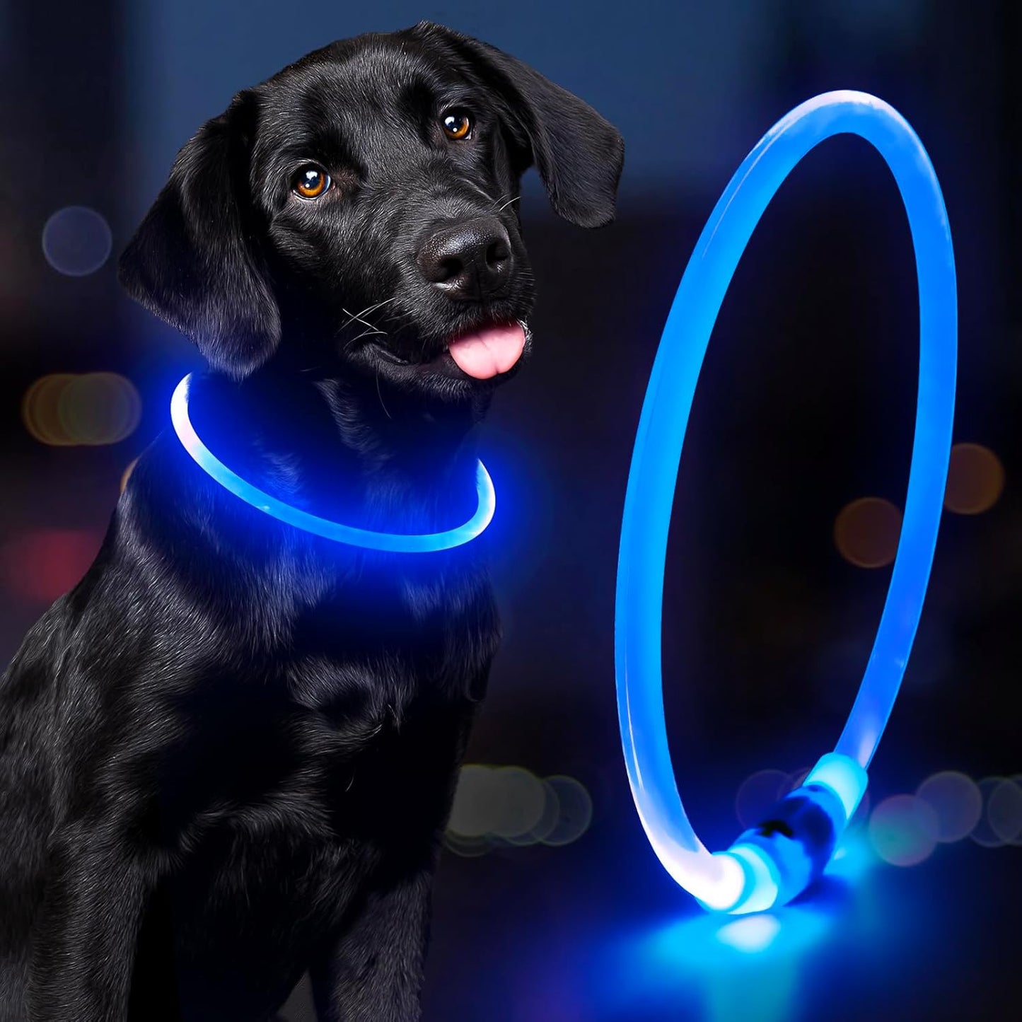 Lighted Dog Collar - Waterproof Puppy Collar Light Rechargeable, High Visibility Glowing Dog Lights for Night Walking (Orange)