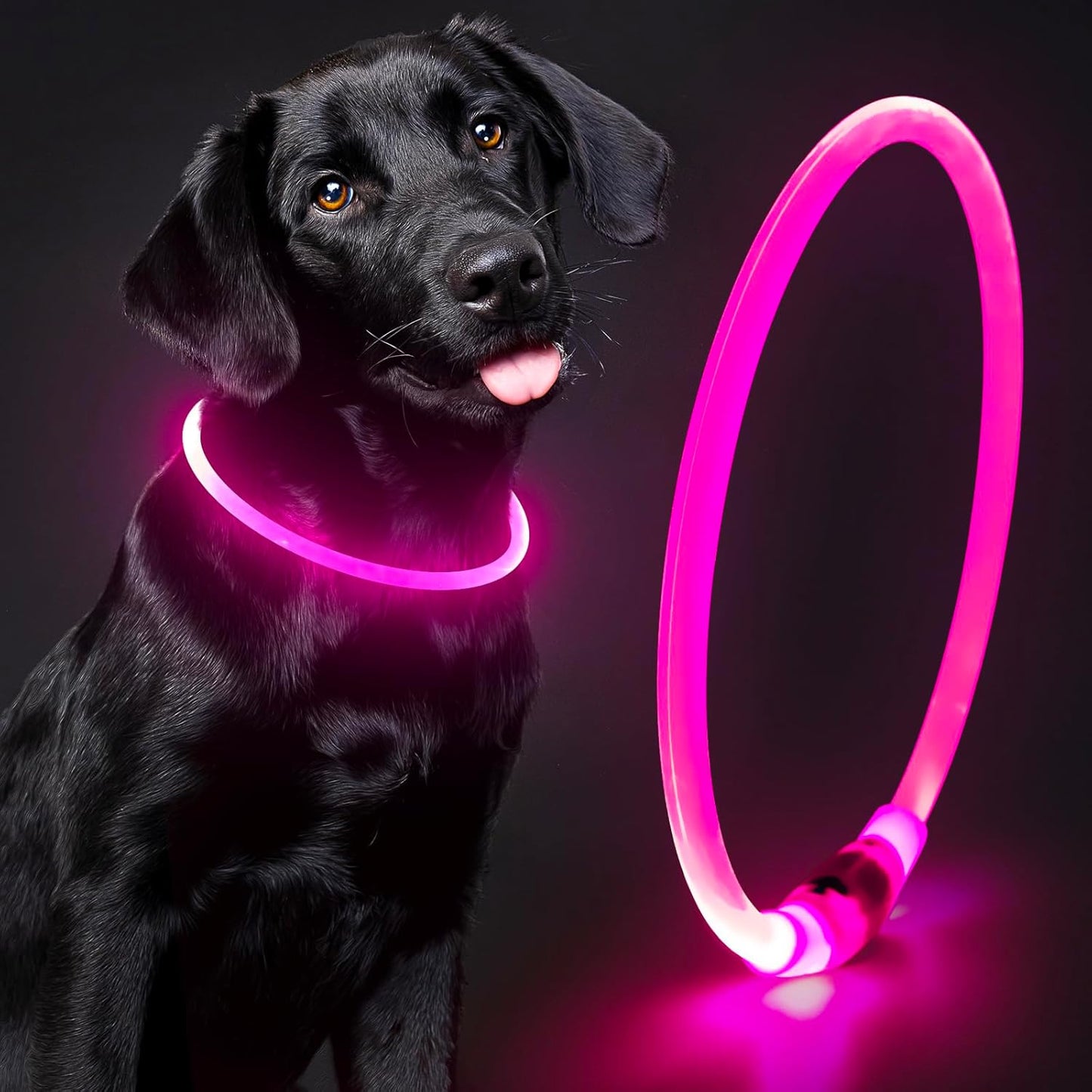 Lighted Dog Collar - Waterproof Puppy Collar Light Rechargeable, High Visibility Glowing Dog Lights for Night Walking (Orange)