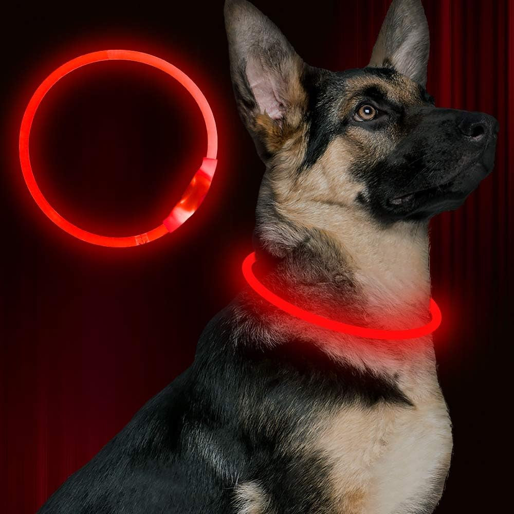 Light up Dog Collar, USB Rechargeable Flash Dog Necklace Light, Pet Safety Collar Makes Your Beloved Dogs Be Seen at Night for Small Medium Large Dogs(Blue)