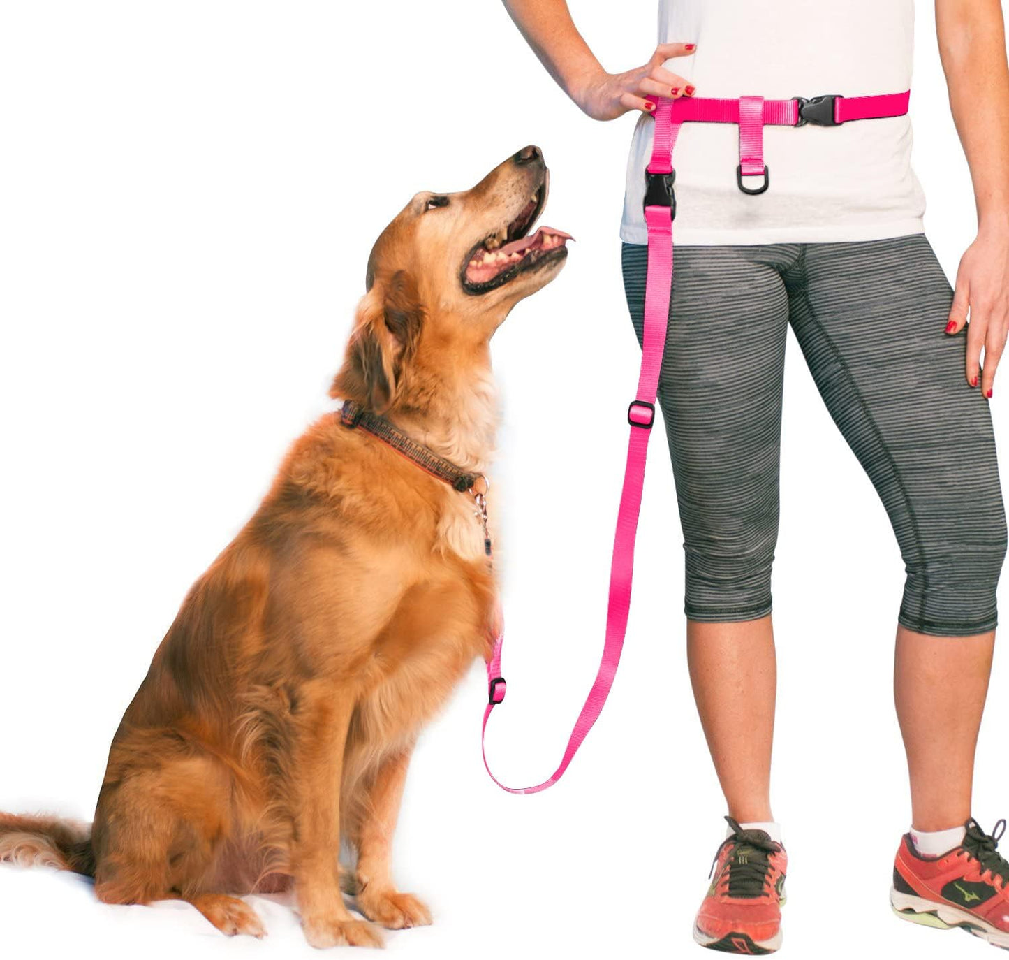 Hands Free Dog Leash, Adjustable Leash for Running, Jogging, Training and Service Dogs, Great for Small, Medium and Large Dogs, Made in USA (Royal Blue, Large Belt (27"- 50" Waist))