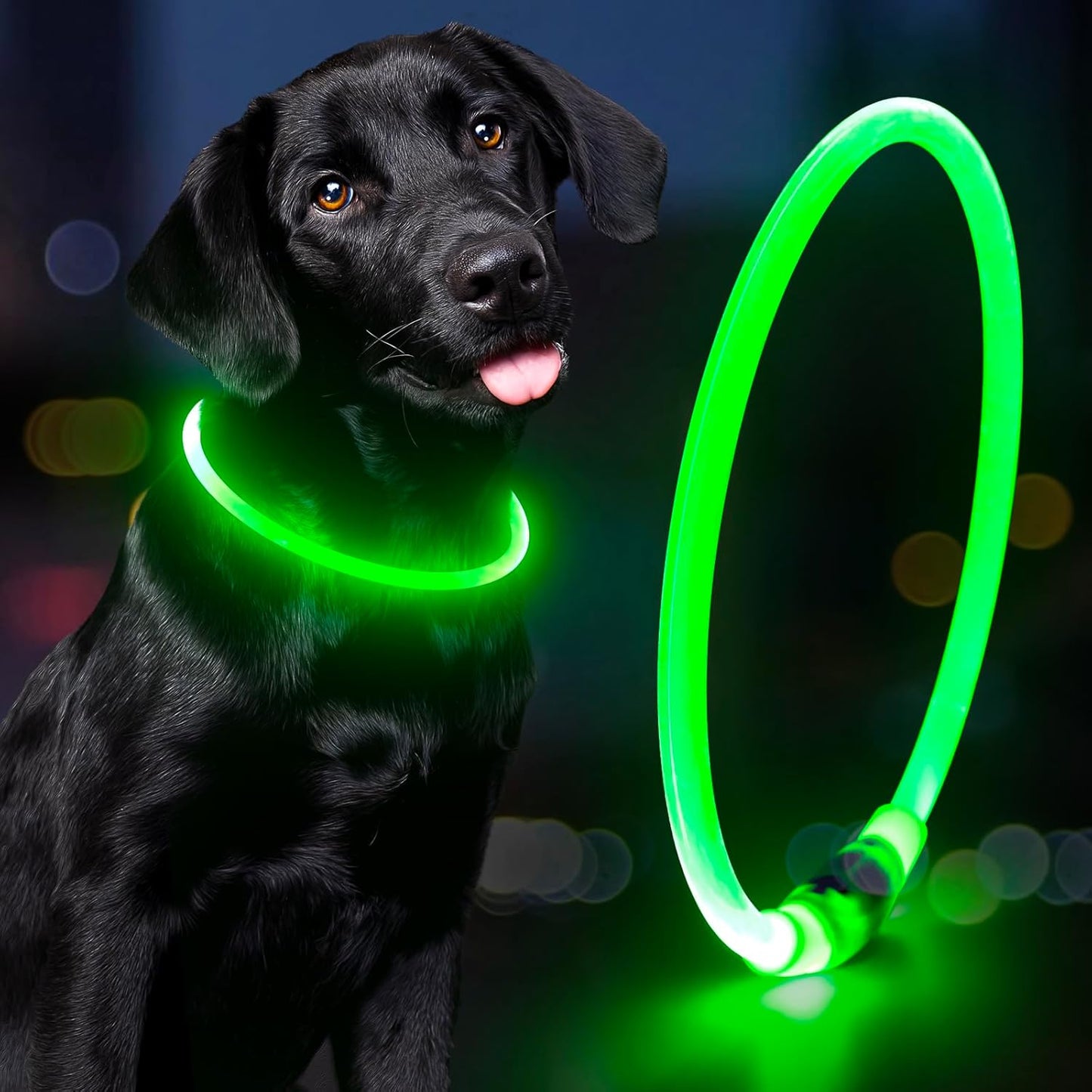 Lighted Dog Collar - Waterproof Puppy Collar Light Rechargeable, High Visibility Glowing Dog Lights for Night Walking (Orange)