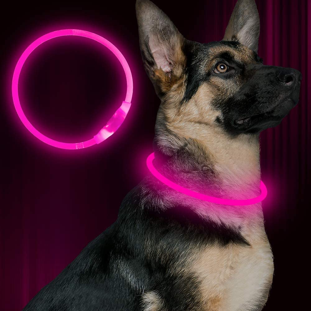 Light up Dog Collar, USB Rechargeable Flash Dog Necklace Light, Pet Safety Collar Makes Your Beloved Dogs Be Seen at Night for Small Medium Large Dogs(Blue)