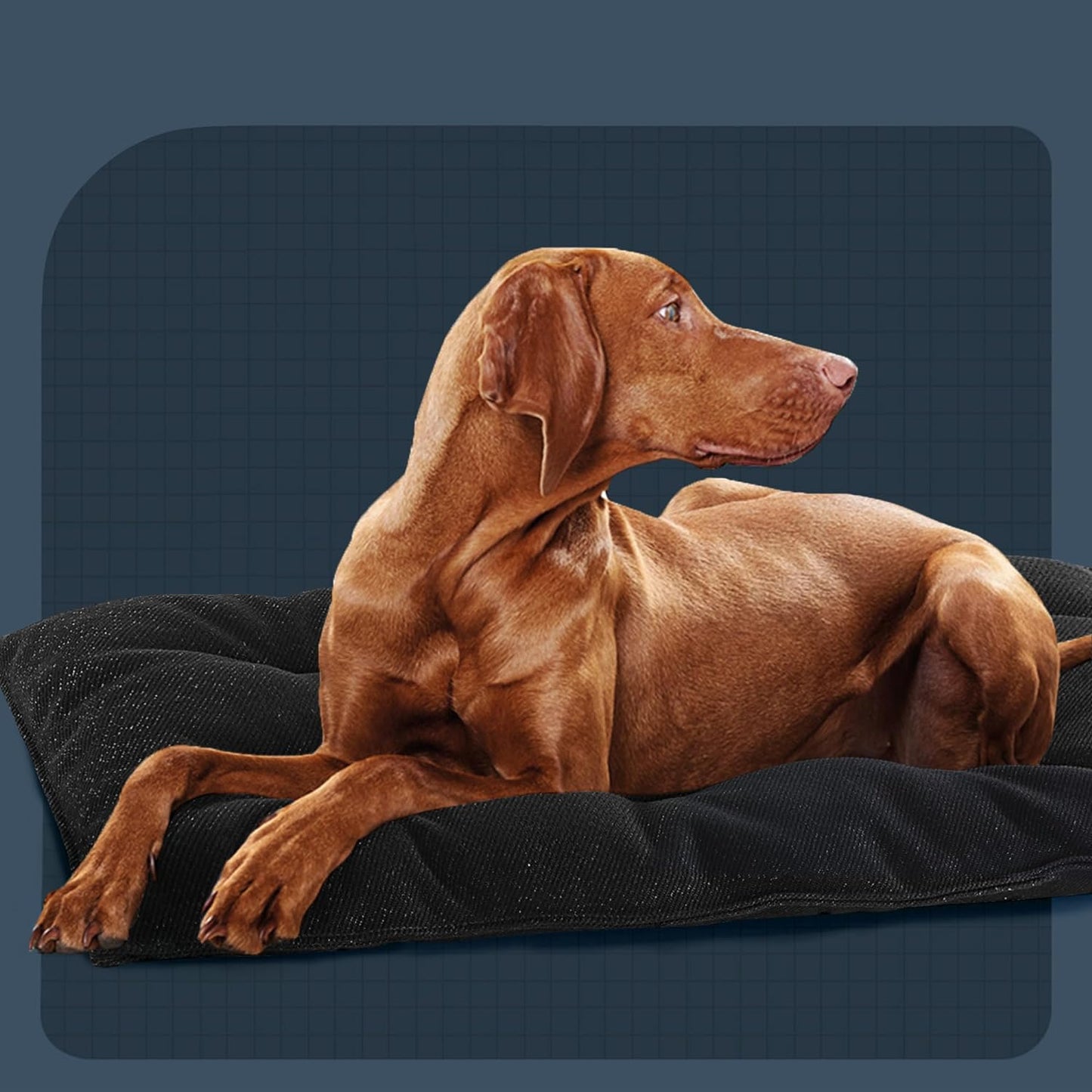 Indestructible Dog Beds Chew Proof Dog Crate Pad,Durable Dog Bed for Aggressive