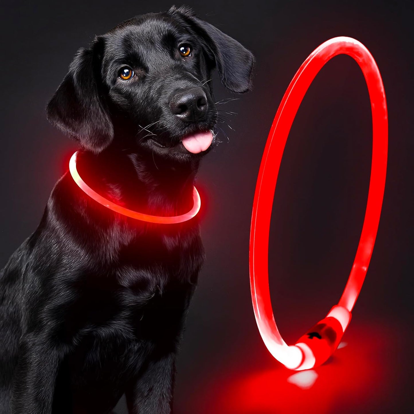 Lighted Dog Collar - Waterproof Puppy Collar Light Rechargeable, High Visibility Glowing Dog Lights for Night Walking (Orange)