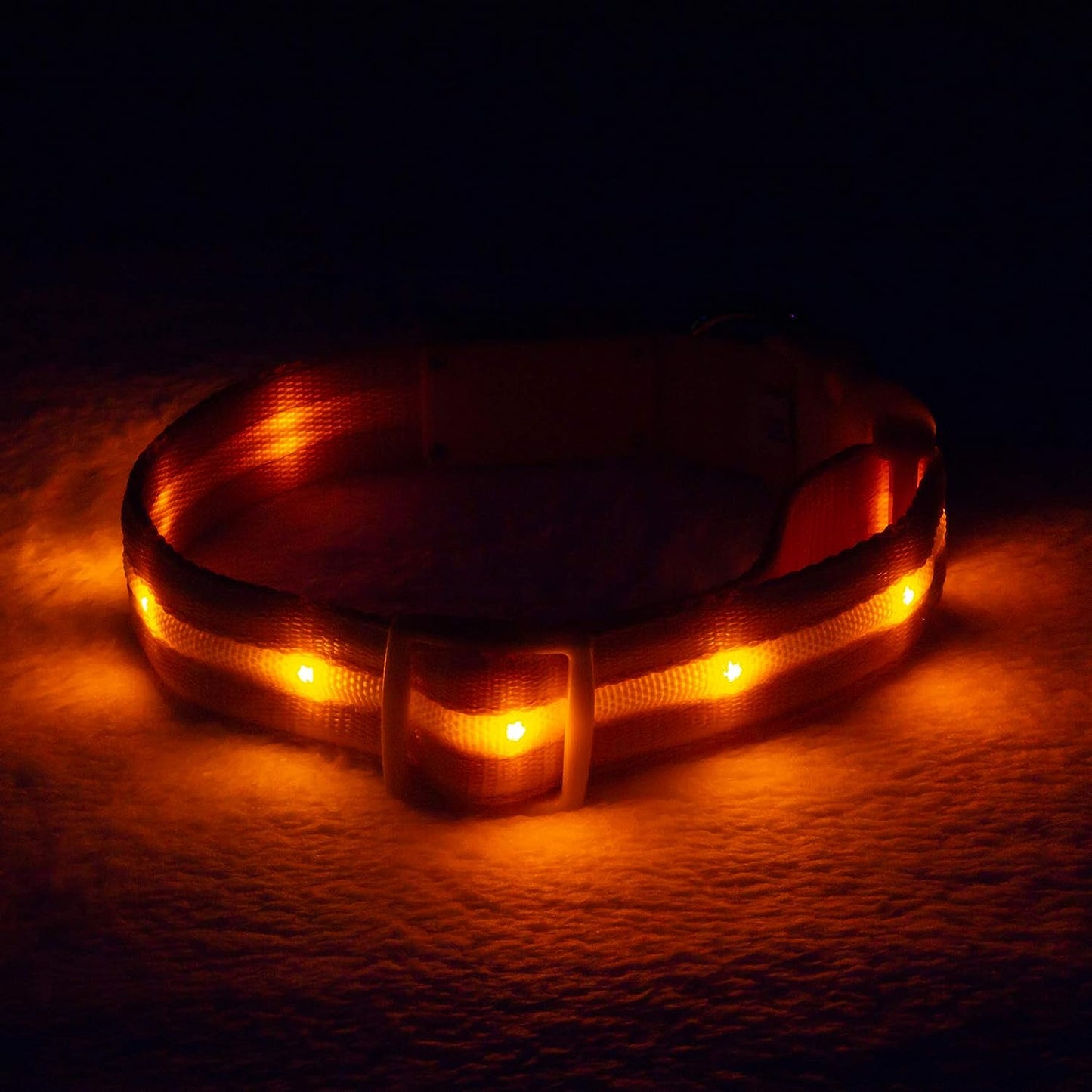 Light up Dog Collar - the Original LED Dog Collar - USB Rechargeable - Waterproof - 1,000 Feet of Visibility - Dog Collar Light for Small, Medium, Large Dogs - US Brand