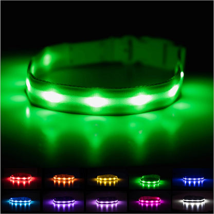 Light up Dog Collar - the Original LED Dog Collar - USB Rechargeable - Waterproof - 1,000 Feet of Visibility - Dog Collar Light for Small, Medium, Large Dogs - US Brand