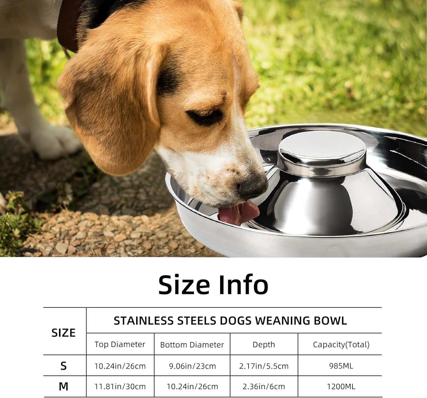 Stainless Steel Puppy Bowls, Set of 2 Puppy Feeder, Dog Food and Water Bowl, Food Feeding Weaning for Small Medium Large Dogs, Pets, M