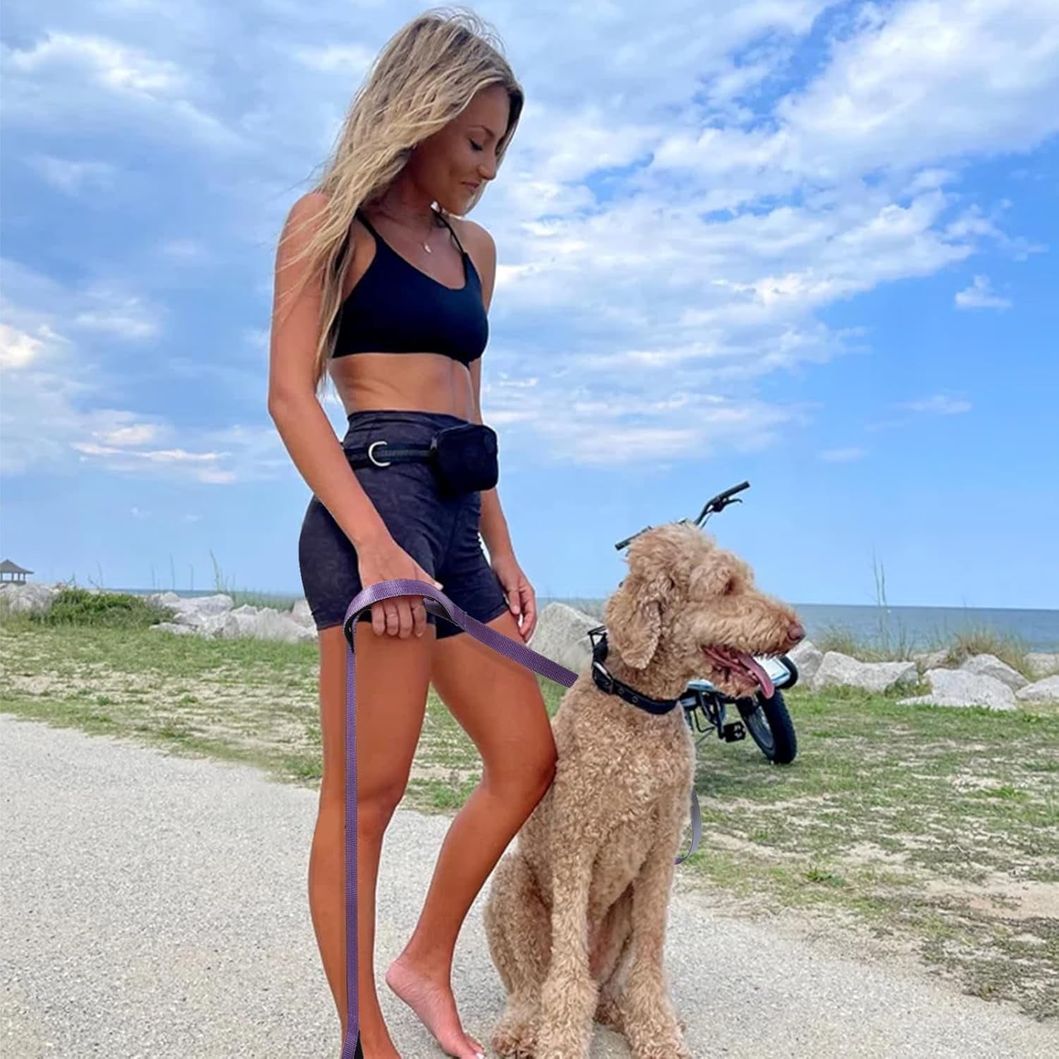 5Ft Dog Leash Heavy Duty, Training Rope Leash with 2 Padded Handle Service Pet Lead Chew Proof with Reflective for Traffic Control Safety, Perfect for Large Medium or Small Dog (Purple&Silver)