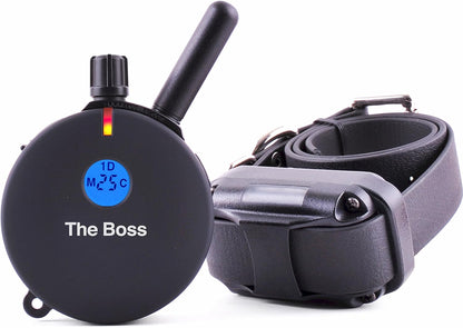 E-Collar Dog Training Collar, Rechargeable Remote + Finger Clicker, for Small to Medium Dogs, Humane Tapping Stimulation, 100 Levels, Tone, Light, 1/2 Mile 1 Dog, Zen