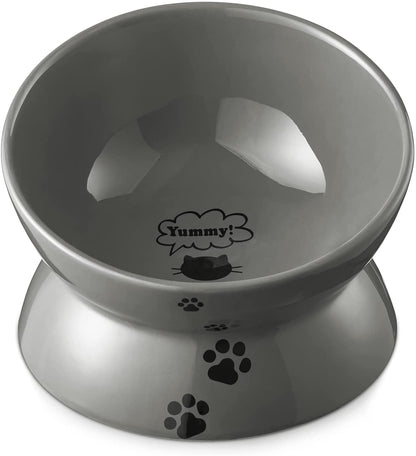 Elevated Cat Food Bowl, Raised Food and Water Bowl for Cat and Small Dog, Tilted Ceramic Water Bowls No Spill,15Oz, Dishwasher Safe