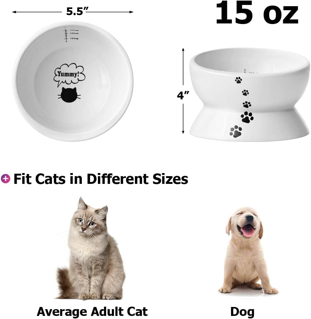 Elevated Cat Food Bowl, Raised Food and Water Bowl for Cat and Small Dog, Tilted Ceramic Water Bowls No Spill,15Oz, Dishwasher Safe