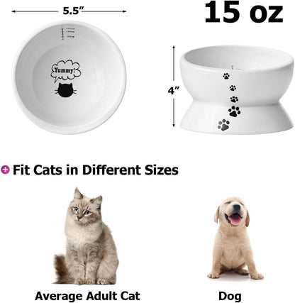 Elevated Cat Food Bowl, Raised Food and Water Bowl for Cat and Small Dog, Tilted Ceramic Water Bowls No Spill,15Oz, Dishwasher Safe