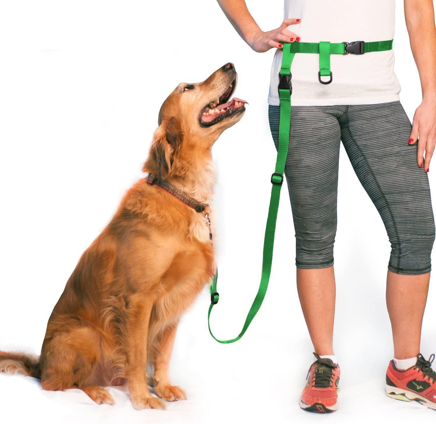 Hands Free Dog Leash, Adjustable Leash for Running, Jogging, Training and Service Dogs, Great for Small, Medium and Large Dogs, Made in USA (Royal Blue, Large Belt (27"- 50" Waist))