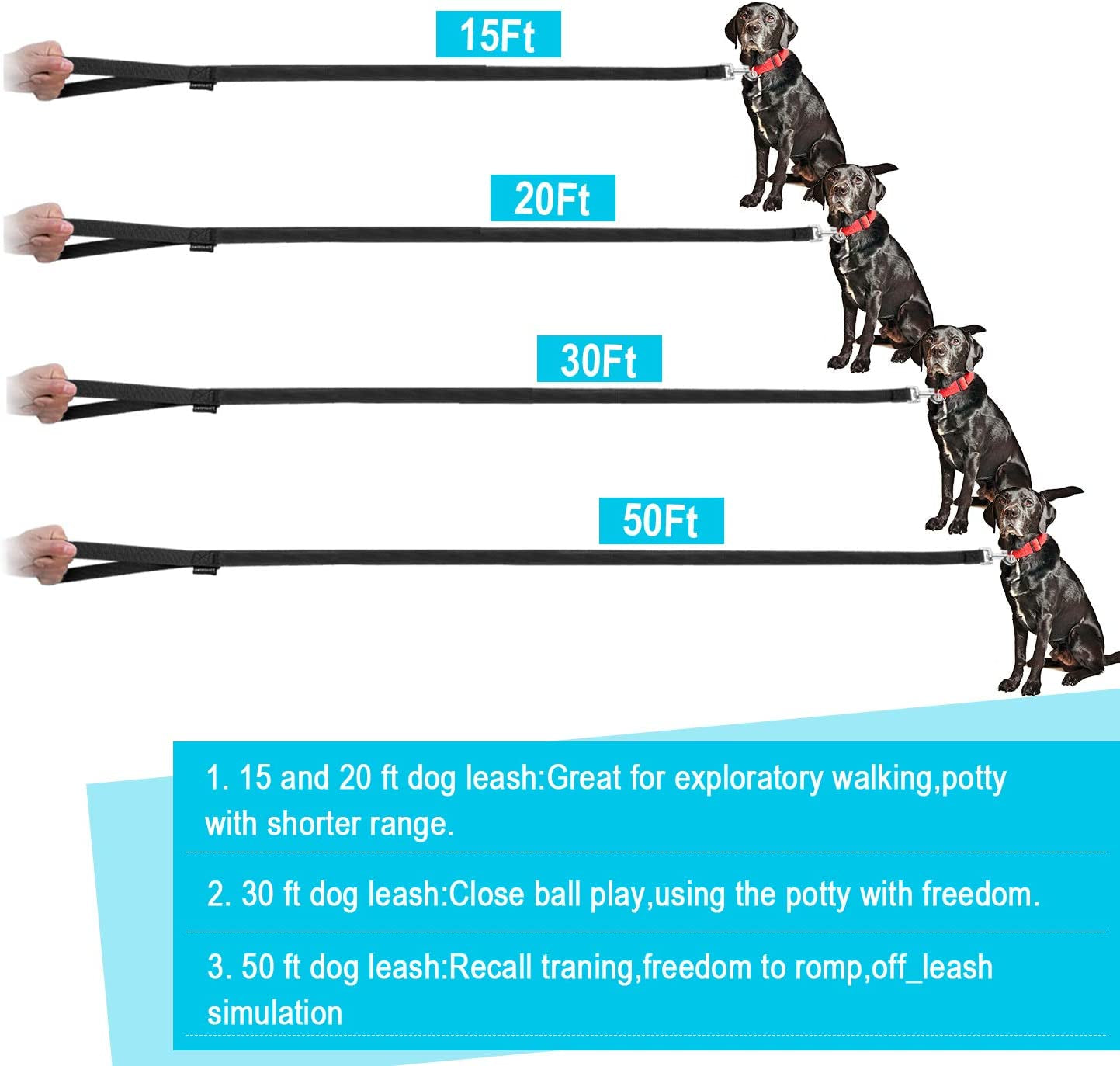Dog/Puppy/Cat 20 Ft Long Leash for Dog/Cat Training, Play, Camping (Black)