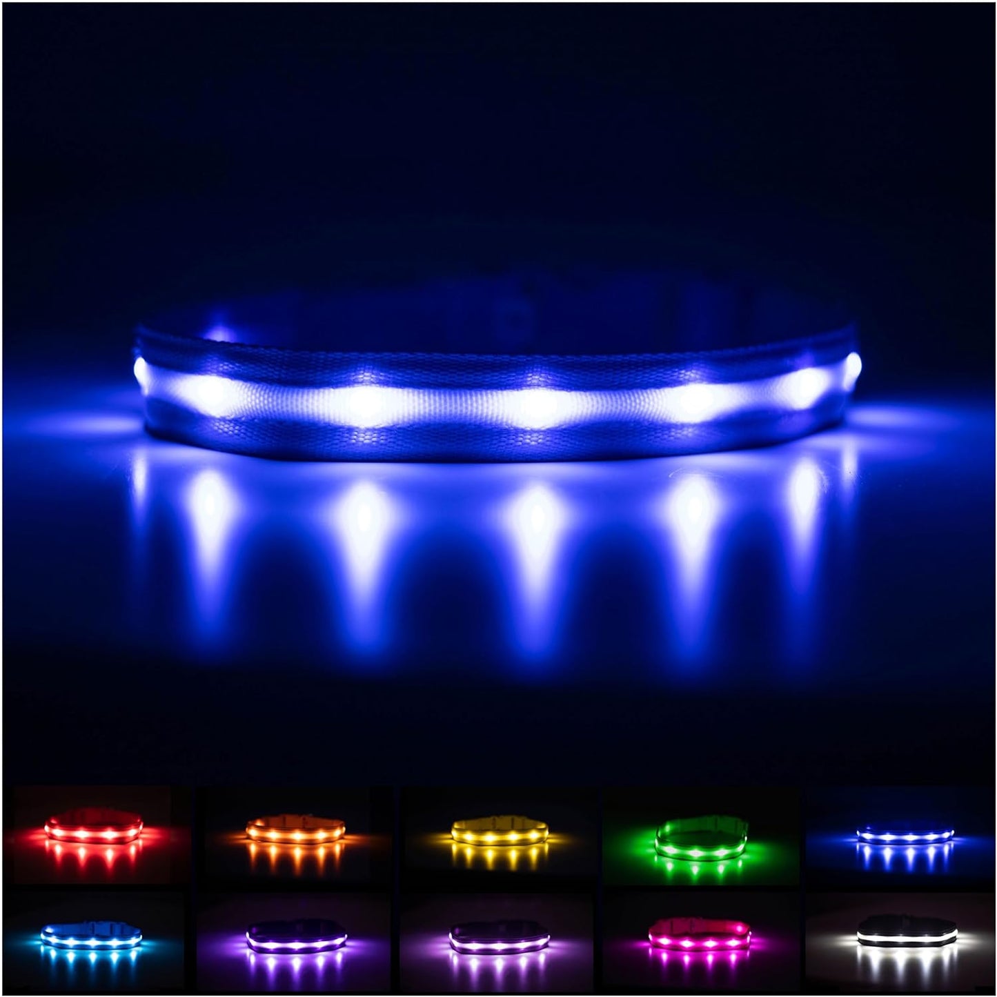 Light up Dog Collar - the Original LED Dog Collar - USB Rechargeable - Waterproof - 1,000 Feet of Visibility - Dog Collar Light for Small, Medium, Large Dogs - US Brand