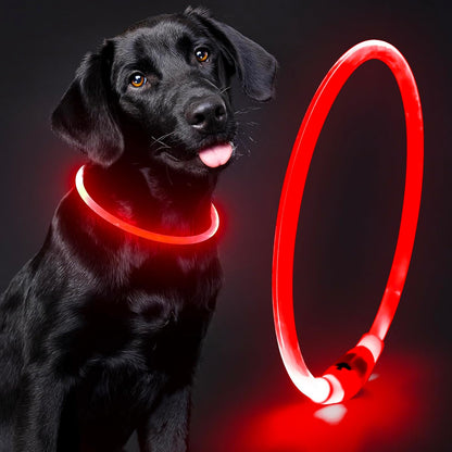Lighted Dog Collar - Waterproof Puppy Collar Light Rechargeable, High Visibility Glowing Dog Lights for Night Walking (Orange)