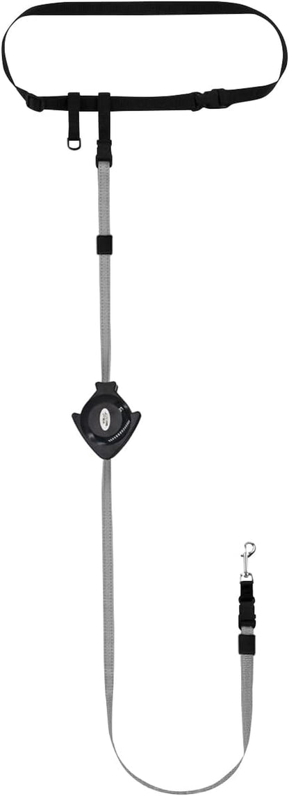 Hands Free Dog Leash, Adjustable Leash for Running, Jogging, Training and Service Dogs, Great for Small, Medium and Large Dogs, Made in USA (Royal Blue, Large Belt (27"- 50" Waist))